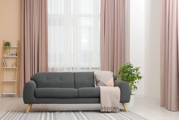 Stylish living room interior with cozy sofa, houseplant and elegant curtains - Photo, image