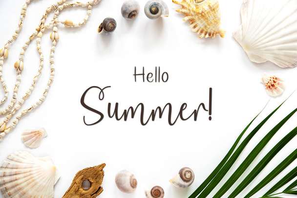 White Summer Flat Lay, Top View, Decorated With Shells and Plants, With English Text Hello Summer - Foto, Bild