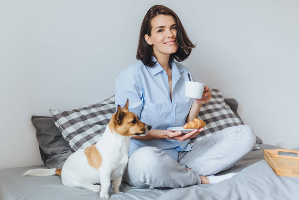 Smiling brunette female holds cup of hot beverage and delicious croissant, has breakfast in morning, enjoys having day off, looks happily at camera, spends time at home with her little dog - Foto, Imagen
