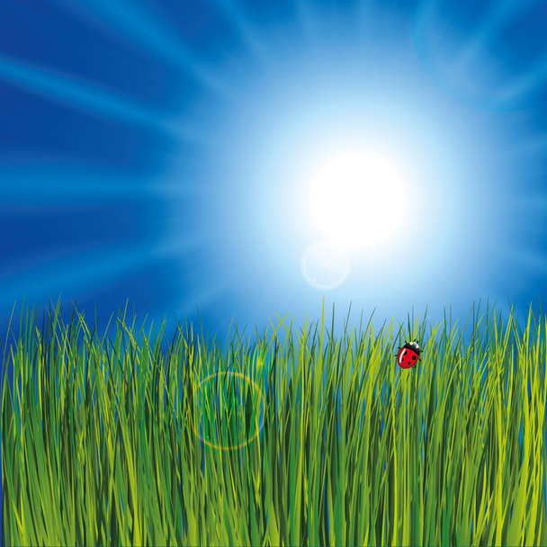 Божья коровка в траве на облачном фоне
 - Вектор,изображение