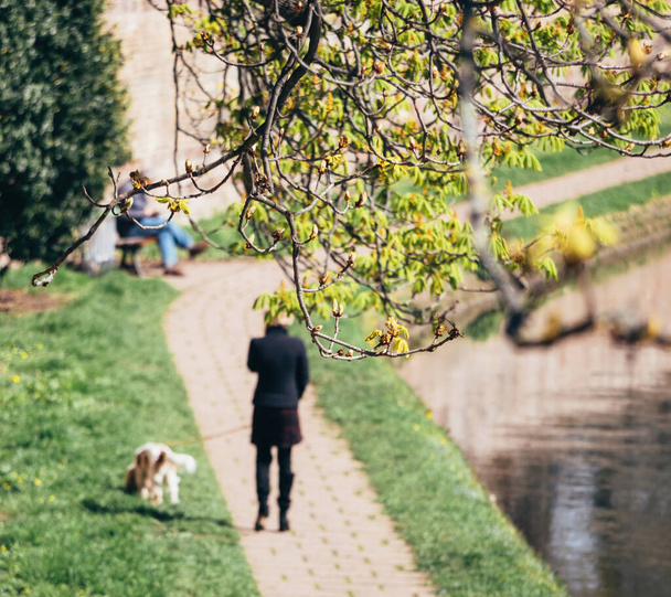 Siluetti naisen kävely hänen lemmikki koira taustaa vasten puun, symboloi side ihmisten ja kotieläinten. - Valokuva, kuva