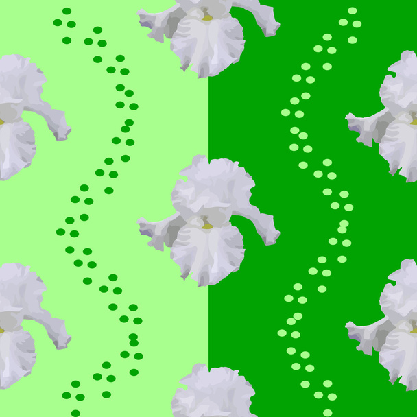 Flower of IRIS - Vector, Image