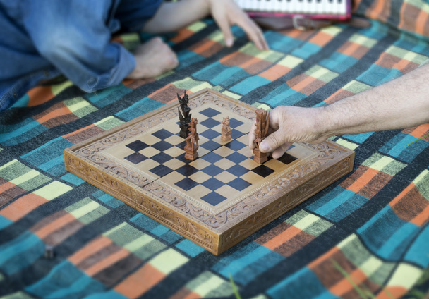 Παίζοντας σκάκι για πικνίκ - Φωτογραφία, εικόνα