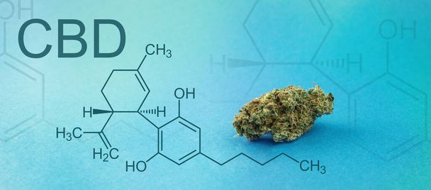  dry bud of medical marijuana.CBD Chemical Formula, Concept Hemp Oil, Cannabidiol or CBD molecular structural formula. CBD elements in Cannabis - Photo, Image