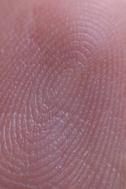 Close-up surface Fingerprint - extreme macro photography. Biometrics and fingerprinting. - Photo, image