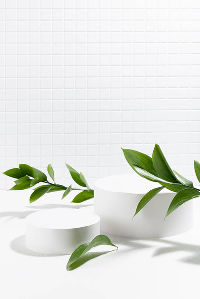 Modern white abstract interior as stage with two circle podiums mockup for presentation cosmetic products, goods, design with mosaic wall, lush green tropical branches in sunlight, shadows, vertical. - 写真・画像
