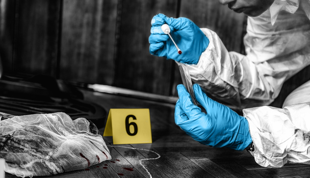 Enquêteur judiciaire recueillant des preuves sanguines sur une scène de crime
 - Photo, image