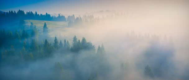 Carpathian misty valley - Fotografie, Obrázek