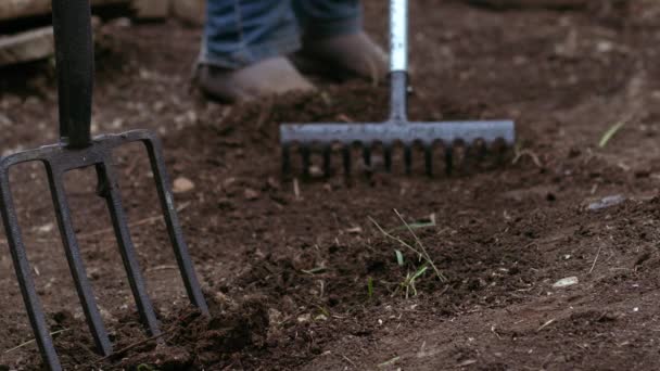 Κηπουρός προετοιμασία του εδάφους με τσουγκράνα για την καλλιέργεια φυτών μεσαίου 4k αργή κίνηση πυροβόλησε επιλεκτική εστίαση - Πλάνα, βίντεο