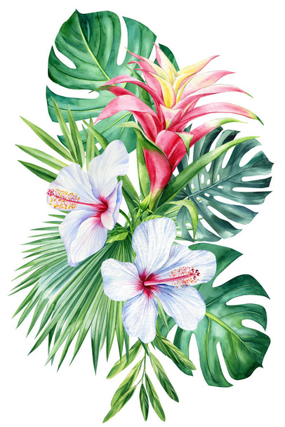 孤立した白い背景に色熱帯の花やヤシの葉、水彩植物画。高品質のイラスト - 写真・画像