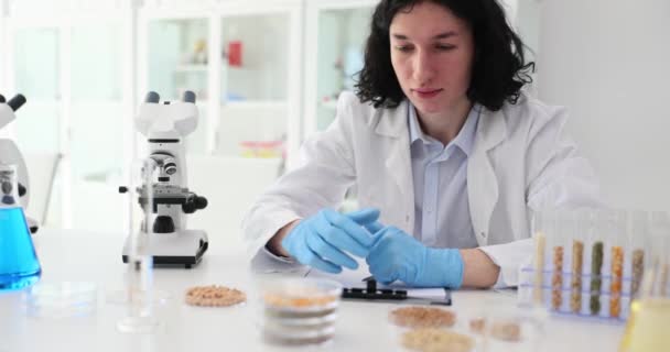 Scienziato in laboratorio conduce esperimenti con cereali. Granturco e cereali geneticamente modificati - Filmati, video
