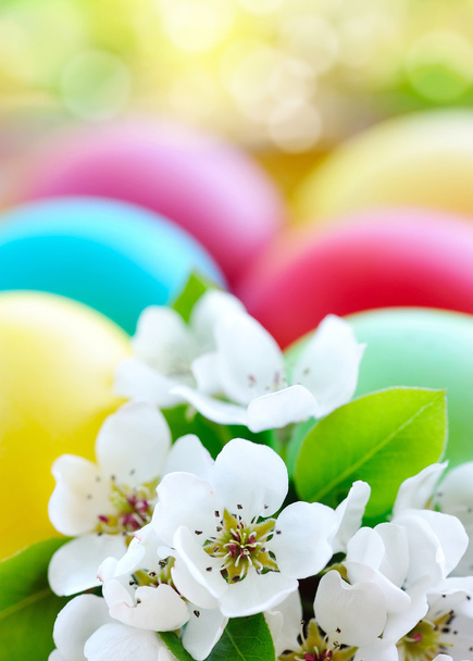 Цветные пасхальные яйца с белыми цветами
 - Фото, изображение