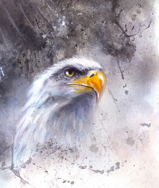 Bela pintura de águia em um fundo abstrato
 - Foto, Imagem