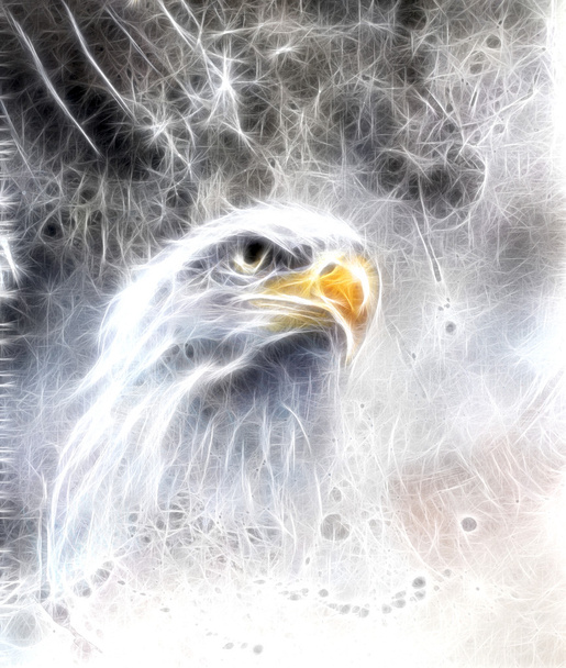 Όμορφη ζωγραφική αετού σε ένα αφηρημένο φόντο fractal αποτέλεσμα - Φωτογραφία, εικόνα
