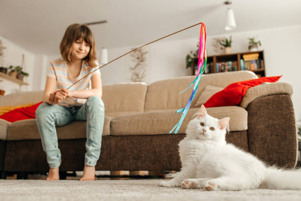 Tummahiuksinen tyttö istuu olohuoneen matolla ja leikkii lelulla ihanan valkoisen kissanpennun kanssa. Lasten ja lemmikkien välinen suhde. Lemmikkieläinten hauska elämä kotona. - Valokuva, kuva