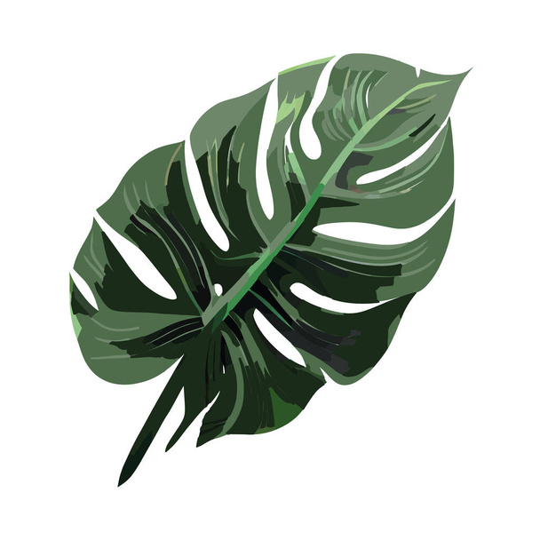 白い上にベクトルデザインの熱帯の葉 - ベクター画像