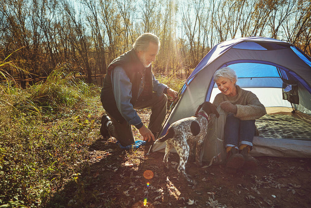 Lets see what doggy treats we have in here...a senior couple camping together in the wilderness with their dog - Photo, Image