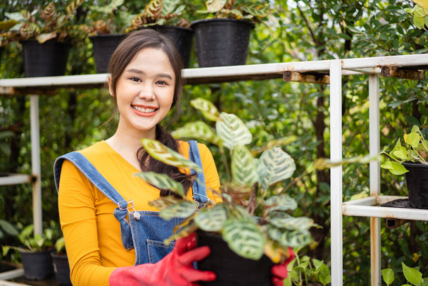 Счастливая веселая азиатская красивая женщина сажает и поливает маленькие домашние растения дома. Садовница украшает свой сад красивым домашним растением. - Фото, изображение