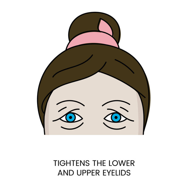 Strafft das untere und obere Augenlid im Vektor, Darstellung eines Frauengesichts mit einem drohenden Augenlid und Taschen unter den Augen. - Vektor, Bild