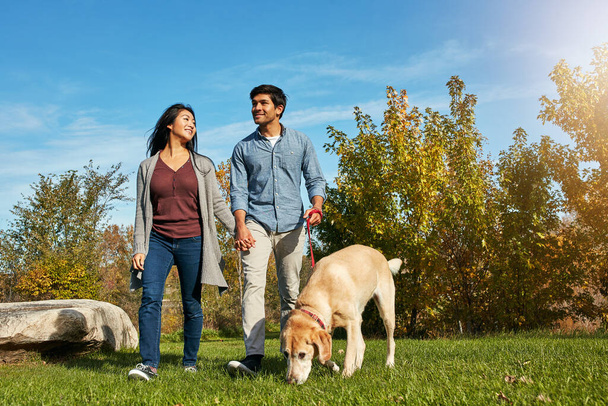 Köpeği gezdirmek için harika bir gün. Sevgi dolu genç bir çift köpeklerini parkta yürüyüşe çıkarıyor. - Fotoğraf, Görsel