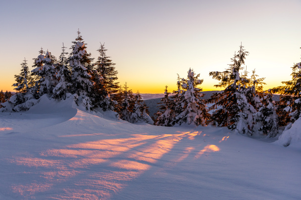 bellissimo tramonto invernale in montagna, pineta - Foto, immagini