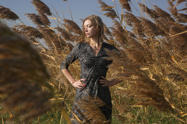 Serie von Fotos von weiblichen Model in schwarz-weißen Musterkleid posiert auf der Wiese. Outdoor-Mode Porträt mit natürlichem Licht. - Foto, Bild