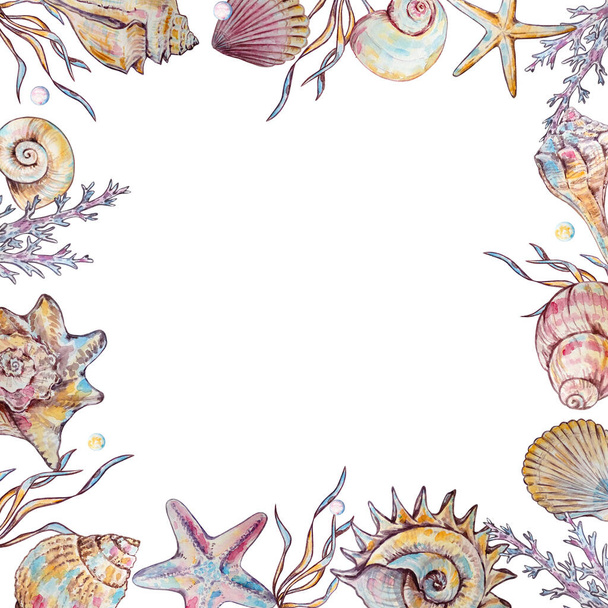 Square frame of watercolor seashells and underwater life elements for design and print - Foto, afbeelding