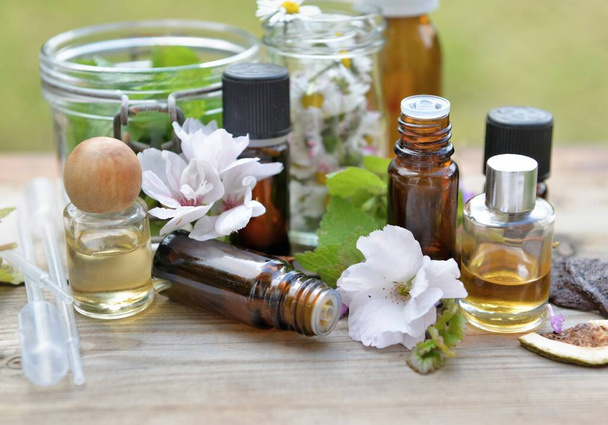 bottles of essential oil with plant and flower  on a wooden table in garden  - Foto, immagini