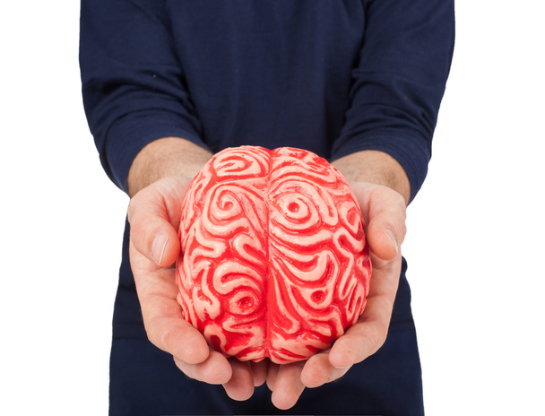 Cerebro de goma humana entre las manos
 - Foto, Imagen
