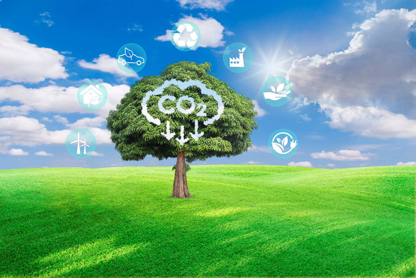 Renewable energy-based green businesses can limit climate change and global warming. Clean and environmentally friendly environment without carbon dioxide emissions.Reduce CO2 emission concept. - Φωτογραφία, εικόνα