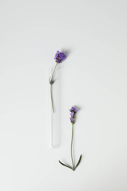 Composition for Making cosmetic concept, making cosmetic with flowers - Foto, immagini