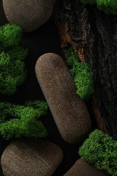 Moss, different backgrounds for nature concept, moss and wood, moss and stones - 写真・画像