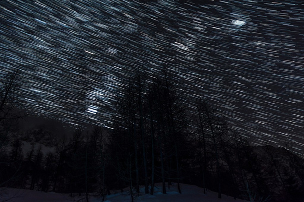 Star trails above alpine forest. - Photo, image