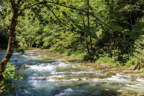 Vintgar Gorges poblíž Bled ve Slovinsku. - Fotografie, Obrázek