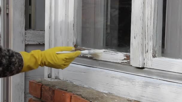 Renovierung des Hauses, Arbeiter streichen alte Holzfenster, Hand in Hand mit Handschuhen und Pinsel - Filmmaterial, Video