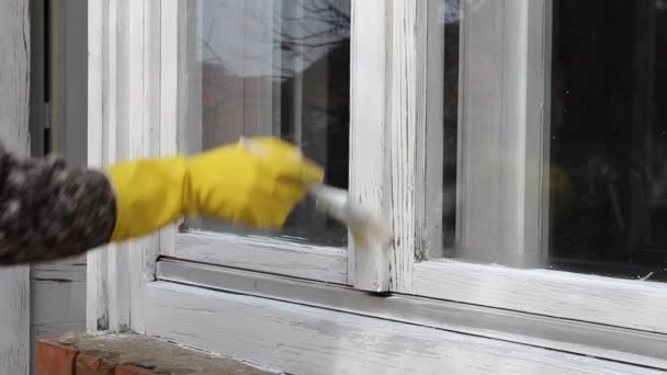 Home renovation, worker painting old wooden window, hand in glove and paintbrush - Filmati, video