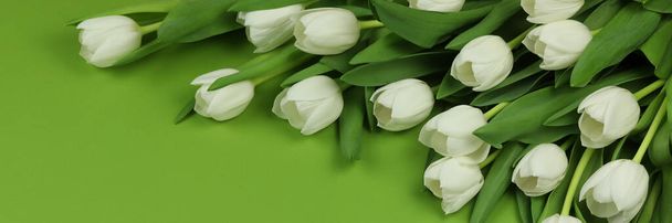 Beautiful bouquet of white tulip flowers with card on green background, space for text - Photo, Image