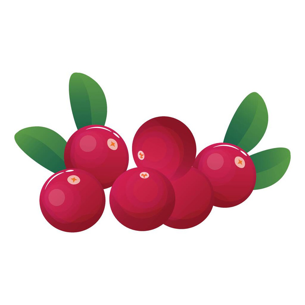 Sour cranberries on white background - Vector, afbeelding