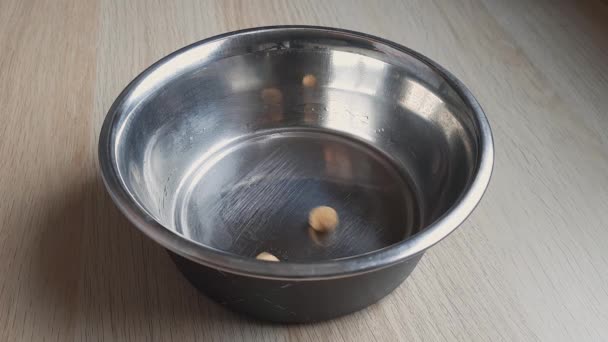 Dry dog food falling into bowl. Meal time. Round pellets of pet food fall into deep metal plate. Dog lifestyle. Dog Friendly place. Diet and daily food intake. - Footage, Video
