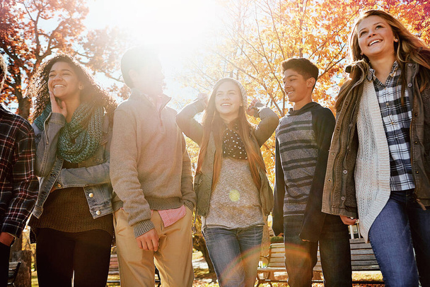 Friends make the world a better place. a group of teenage friends enjoying an autumn day outside together - Zdjęcie, obraz