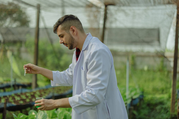To assess the efficiency of modern greenhouse farming management, agricultural research expert inspect and collect data on crops, water, air, and insects. Performing regular laboratory procedures. - Foto, imagen