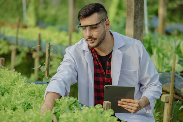 To assess the efficiency of modern greenhouse farming management, agricultural research expert inspect and collect data on crops, water, air, and insects. Performing regular laboratory procedures. - Foto, afbeelding