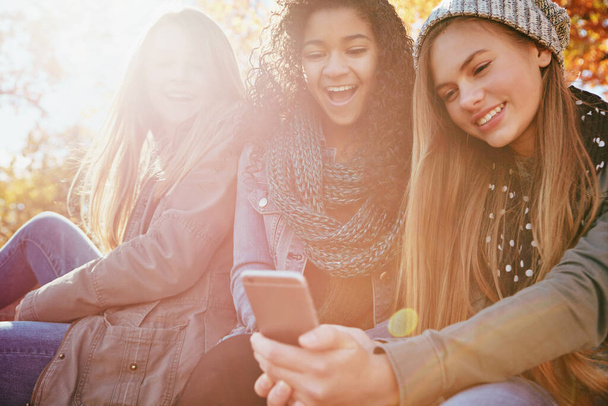 Wow, that selfie is amazing. a group of friends hanging out together outside on an autumn day - Zdjęcie, obraz