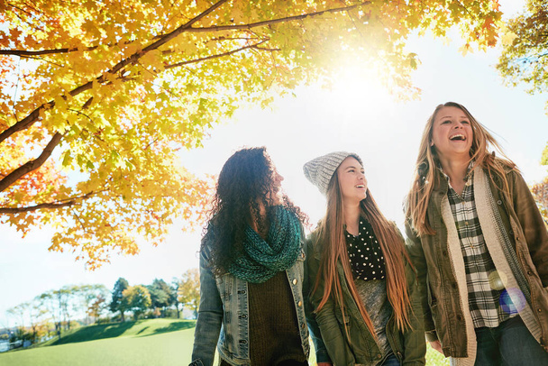 Najlepszą rzeczą w życiu jest prawdziwa przyjaźń. grupa młodych przyjaciół cieszących się razem dniem spędzonym w parku - Zdjęcie, obraz