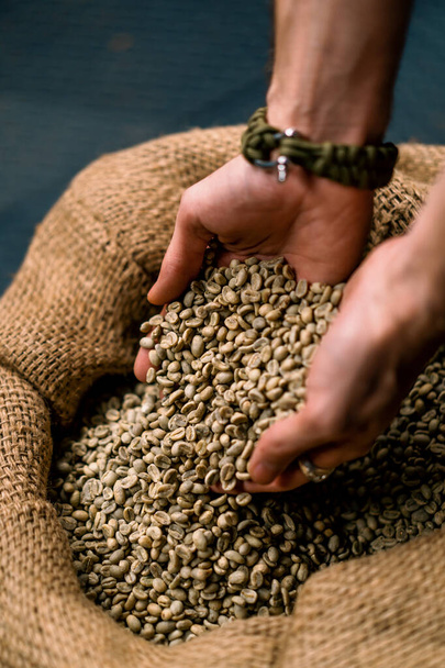 manos masculinas recogiendo granos de café crudos frescos de una bolsa en el concepto de producción de café para hacer bebidas calientes - Foto, Imagen