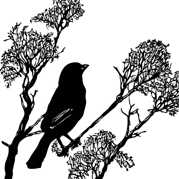 Black and white illustration. Black bird on a tree. - Fotografie, Obrázek