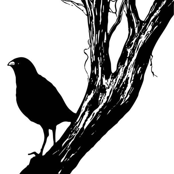 Black and white illustration. Black bird on a tree. - Foto, immagini