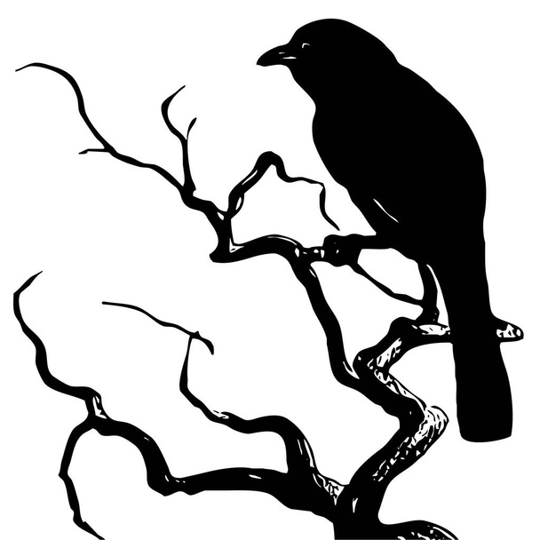 Black and white illustration. Black bird on a tree. - Фото, зображення