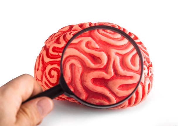 Καουτσούκ εγκέφαλος δει με το μεγεθυντικό φακό - Φωτογραφία, εικόνα
