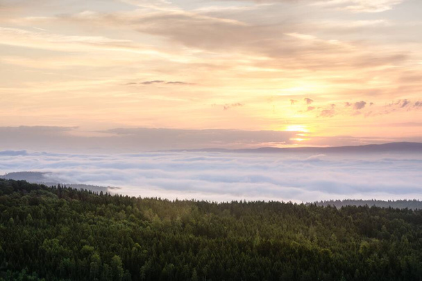 A mesmerizing sunrise over a forest and a blanket of fog - Zdjęcie, obraz